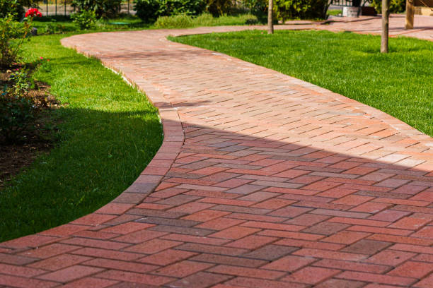 Best Driveway Paving Contractor  in Nokomis, IL